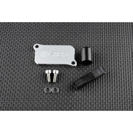 Kit de suppression d'antipollution Smart Moto PLE-134
