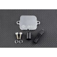Kit de suppression d'antipollution Smart Moto PLE-306