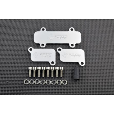 Kit de suppression d'antipollution Smart Moto BLP-136
