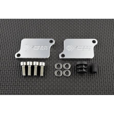 Kit de suppression d'antipollution Smart Moto BLP-225