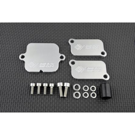 Kit de suppression d'antipollution Smart Moto BLP-306