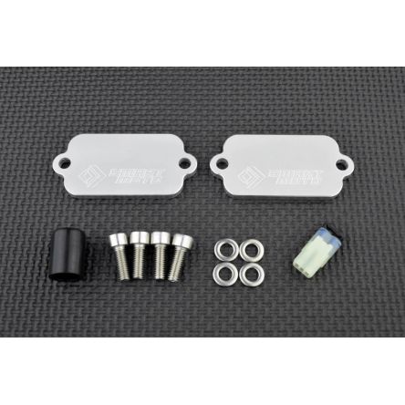 Kit de suppression d'antipollution Smart Moto PLE-102