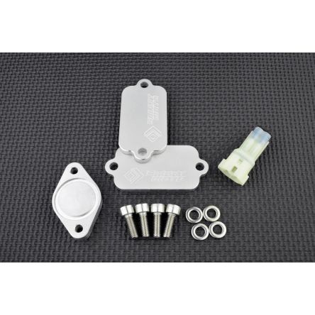 Kit de suppression d'antipollution Smart Moto PLE-103