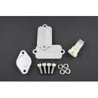 Kit de suppression d'antipollution Smart Moto PLE-103