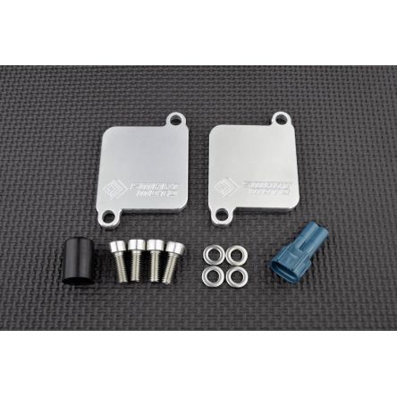 Kit de suppression d'antipollution Smart Moto PLE-110