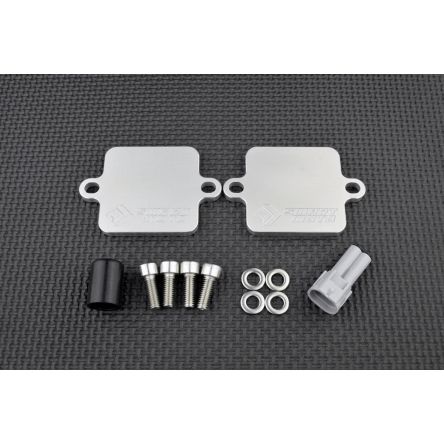 Kit de suppression d'antipollution Smart Moto PLE-117