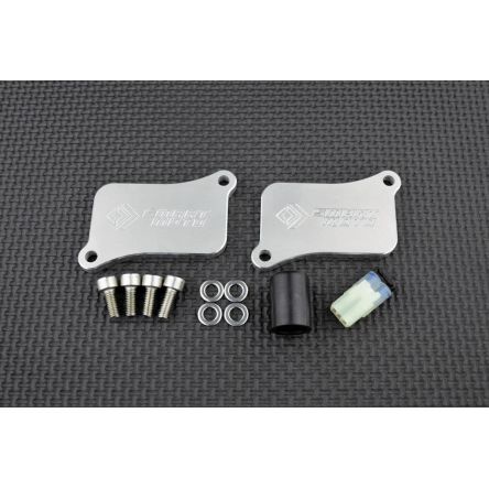 Kit de suppression d'antipollution Smart Moto PLE-120