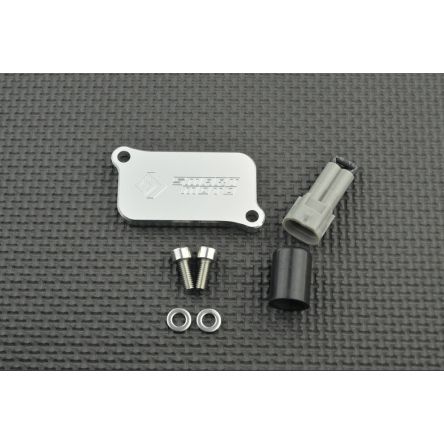 Kit de suppression d'antipollution Smart Moto PLE-234