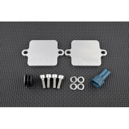 Kit de suppression d'antipollution Smart Moto PLE-304