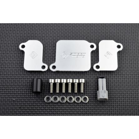 Kit de suppression d'antipollution Smart Moto PLE-411
