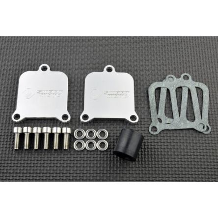 Kit de suppression d'antipollution Smart Moto BLP-145