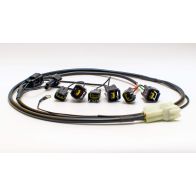 Faisceau Healtech QSH-F6B pour shifter Quickshifter Easy
