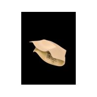 Prise d'air Sebimoto pour Aprilia RS457 24-26