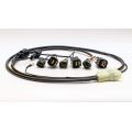 Shifter Healtech Quickshifter Easy IQSE-W1 + Faisceau Healtech QSH-P4H 2