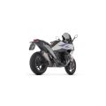 Silencieux Arrow Indy-Race Evo embout carbone pour BMW R1300R/RS 25-26 3