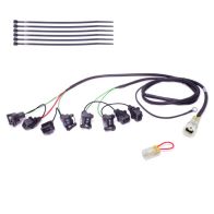 Faisceau Healtech QSH-F4D pour shifter Quickshifter Easy