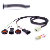 Faisceau Healtech QSH-P2E pour shifter Quickshifter Easy