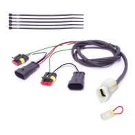 Faisceau Healtech QSH-P2F pour shifter Quickshifter Easy