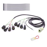 Faisceau Healtech QSH-P4B pour shifter Quickshifter Easy