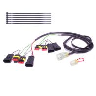 Faisceau Healtech QSH-P4F pour shifter Quickshifter Easy