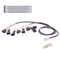 Faisceau Healtech QSH-P4G pour shifter Quickshifter Easy 0