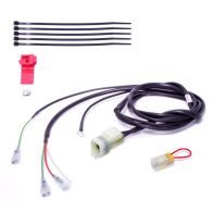 Faisceau Healtech QSX-P2T pour shifter Quickshifter Easy