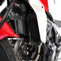 Grille de protection de radiateur d'huile R&G OCG0054PROBK pour Ducati 0