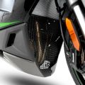 Grille de protection de collecteur R&G Kawasaki Ninja 1000SX 24/1100SX 25-27 0