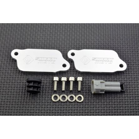 Kit de suppression d'antipollution Smart Moto PLE-148
