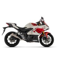 Silencieux Arrow Pro-Race pour Yamaha R3 25-26 