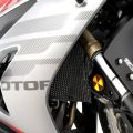 Grille de protection de radiateur Pro R&G QJ Motor SRK800 25-26 0