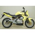 Silencieux Arrow Race-Tech embout acier pour Kawasaki ER6 05-11/Versys 650 07-14 0