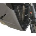 Grille de protection de collecteur R&G Triumph 675 Daytona 13-16 0
