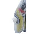 Pantalon de pluie R&G transparent 0